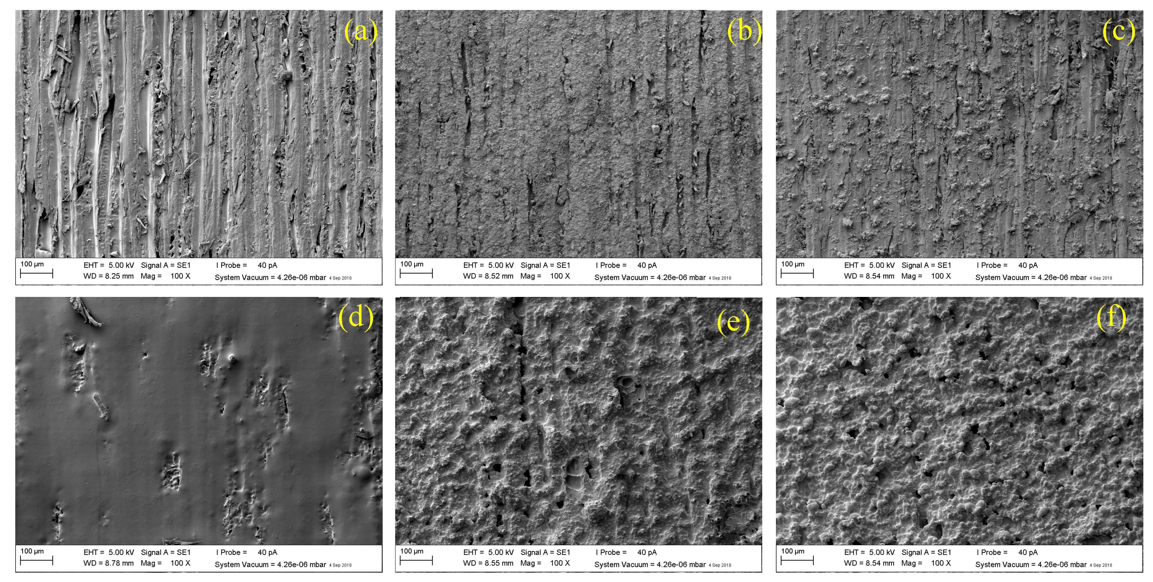 Forests 10 00898 g002