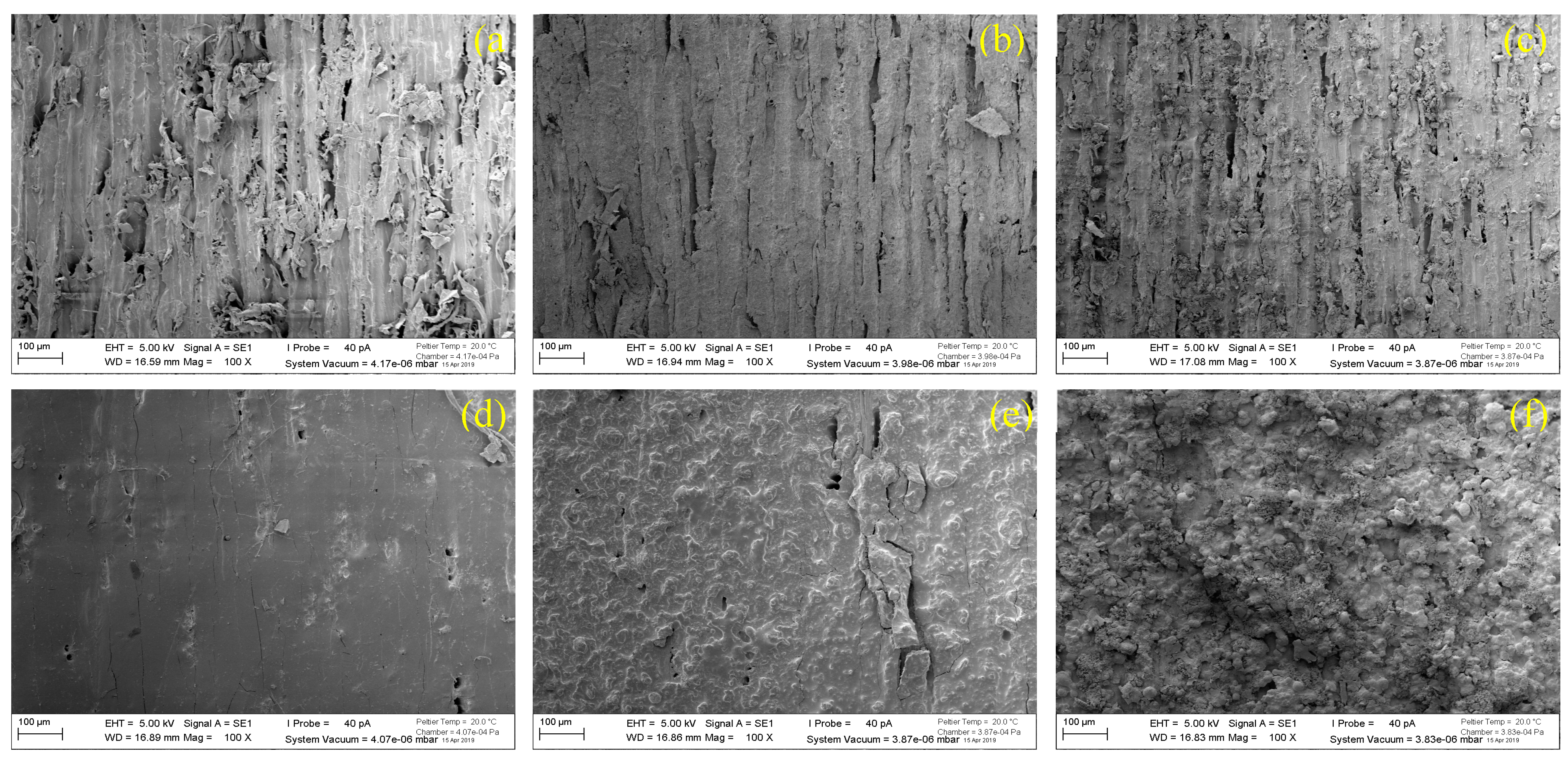 Forests 10 00898 g008