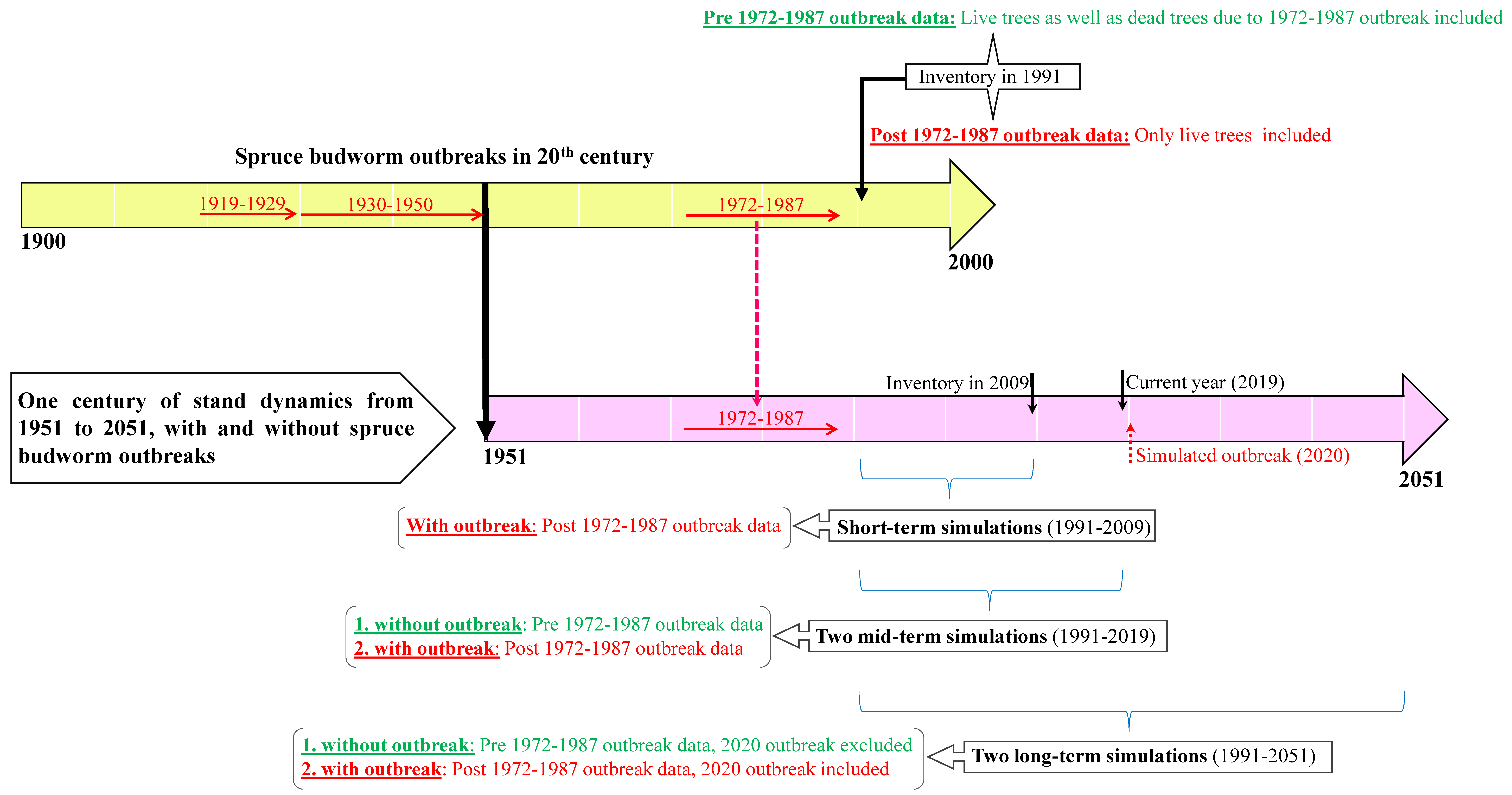 Forests 11 00003 g001