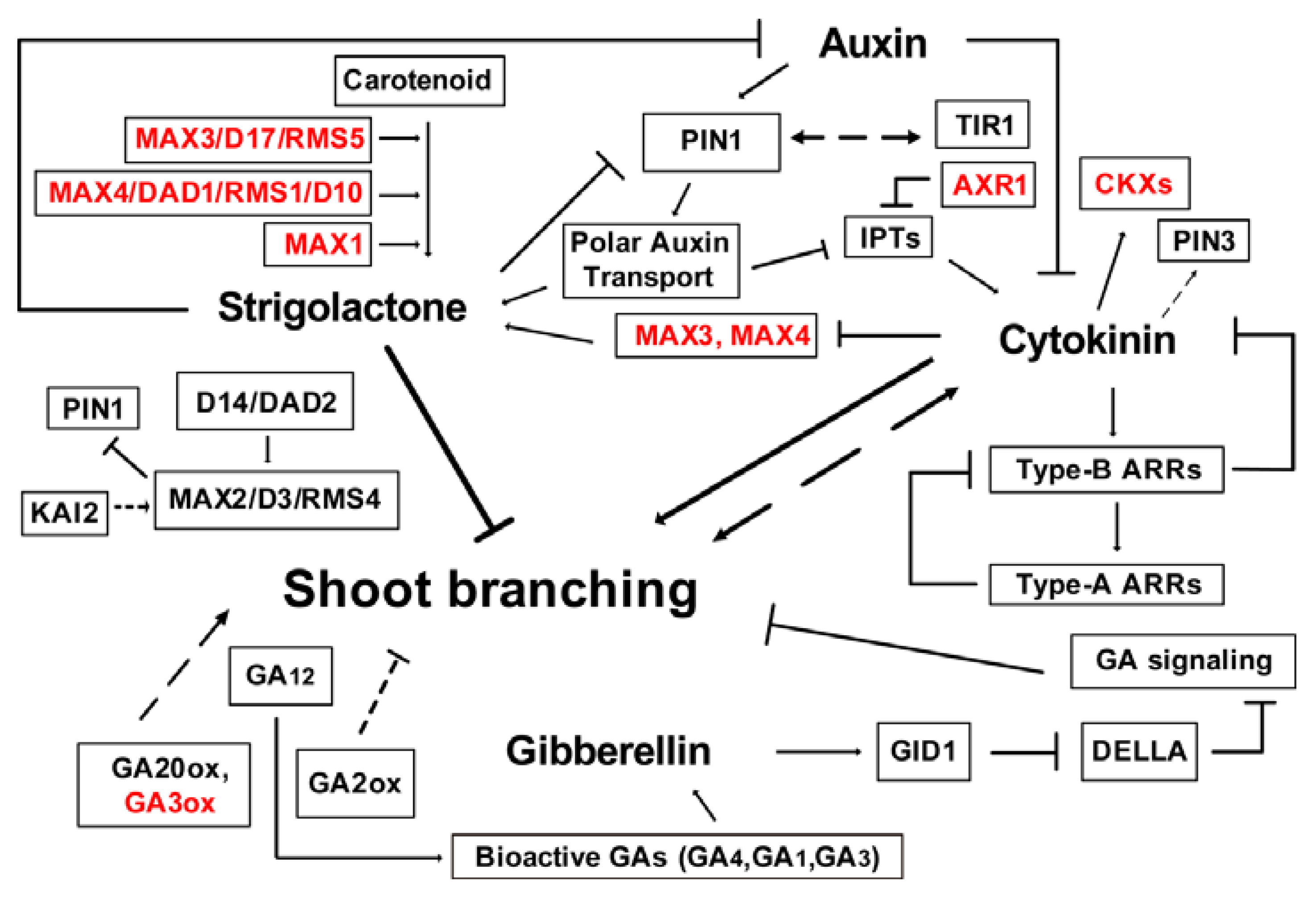 Forests 11 00287 g005