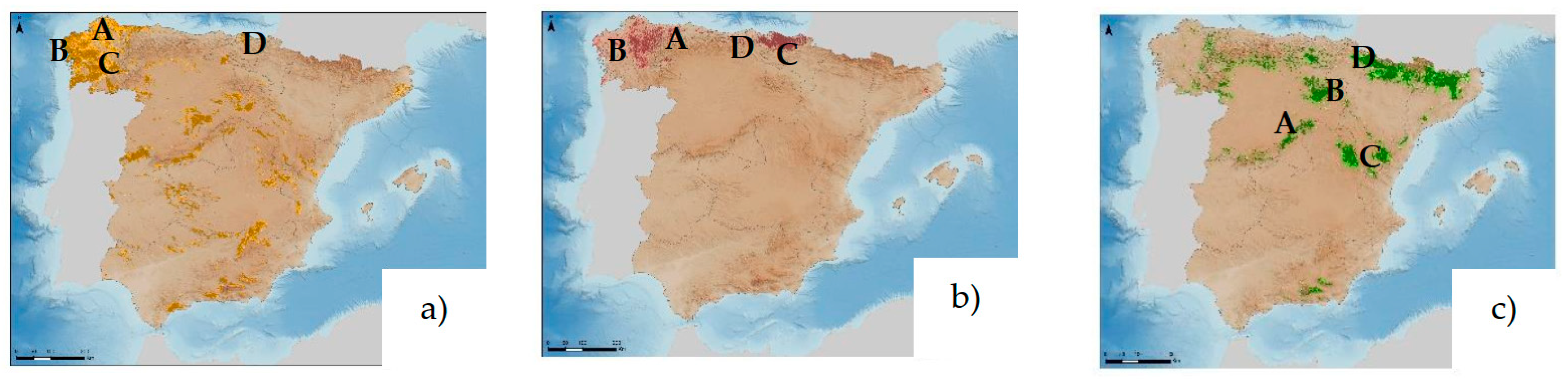 Forests 13 02021 g003