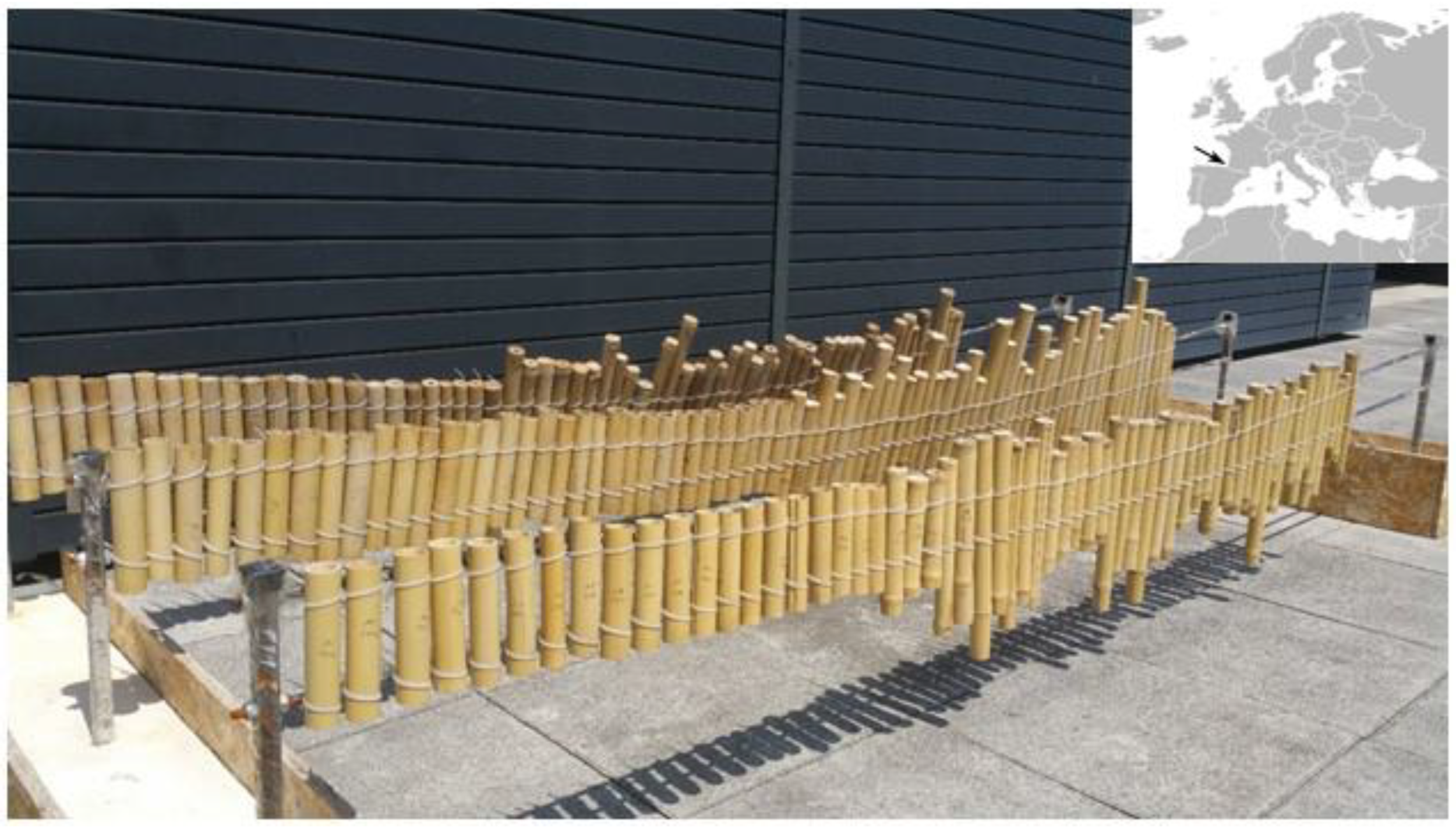 Forests 13 02084 g001