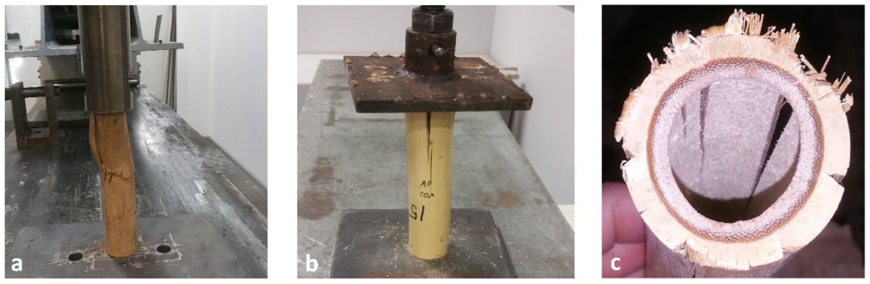 Forests 13 02084 g009