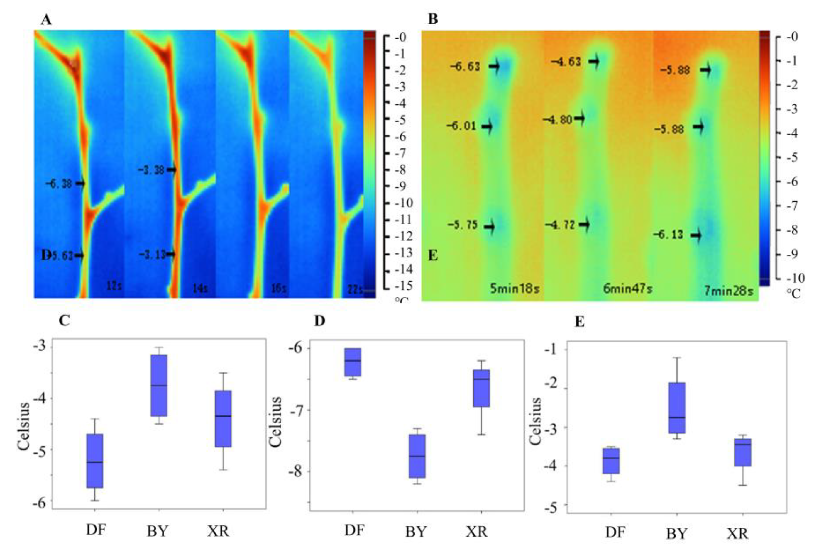 Forests 13 02163 g001