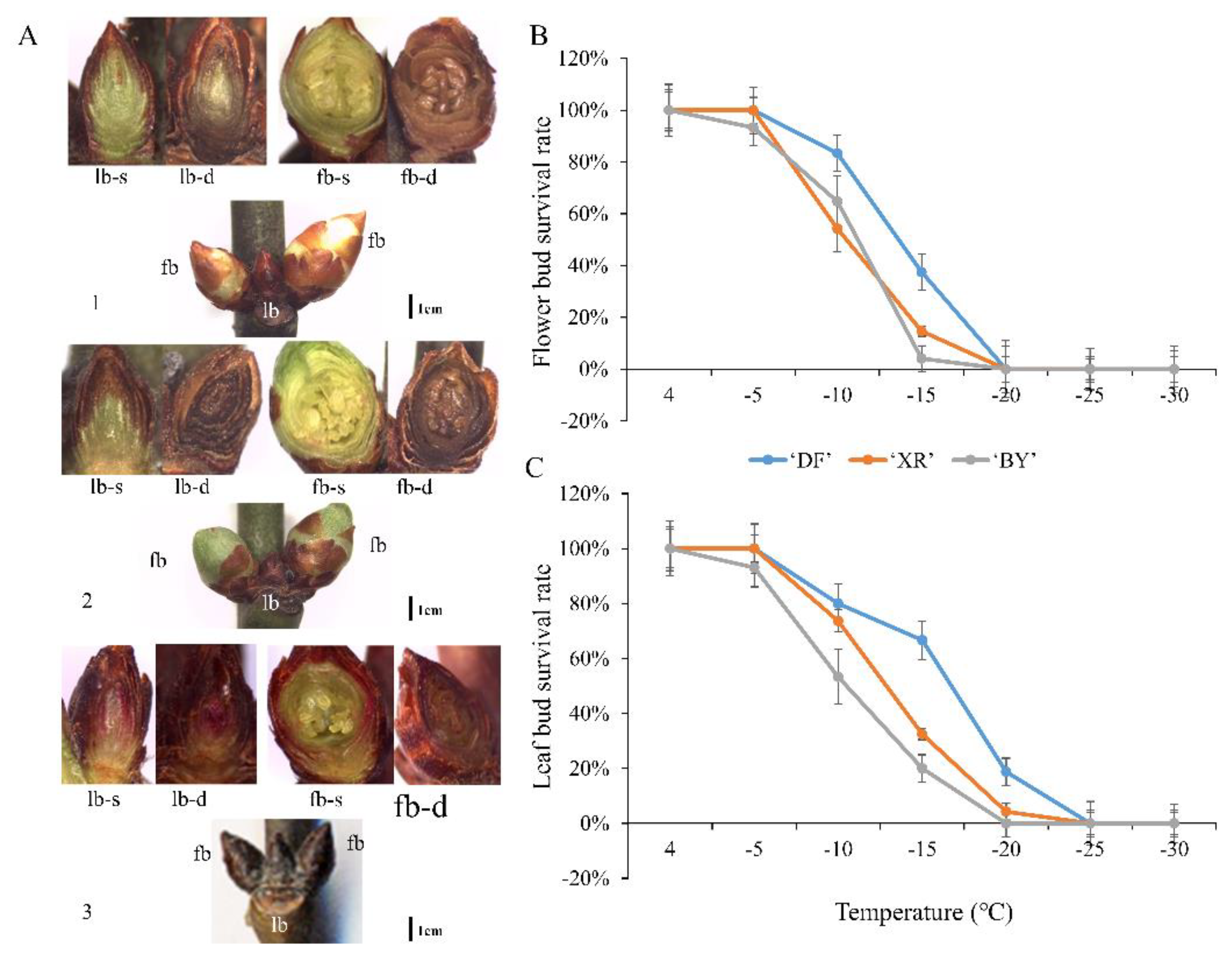Forests 13 02163 g005