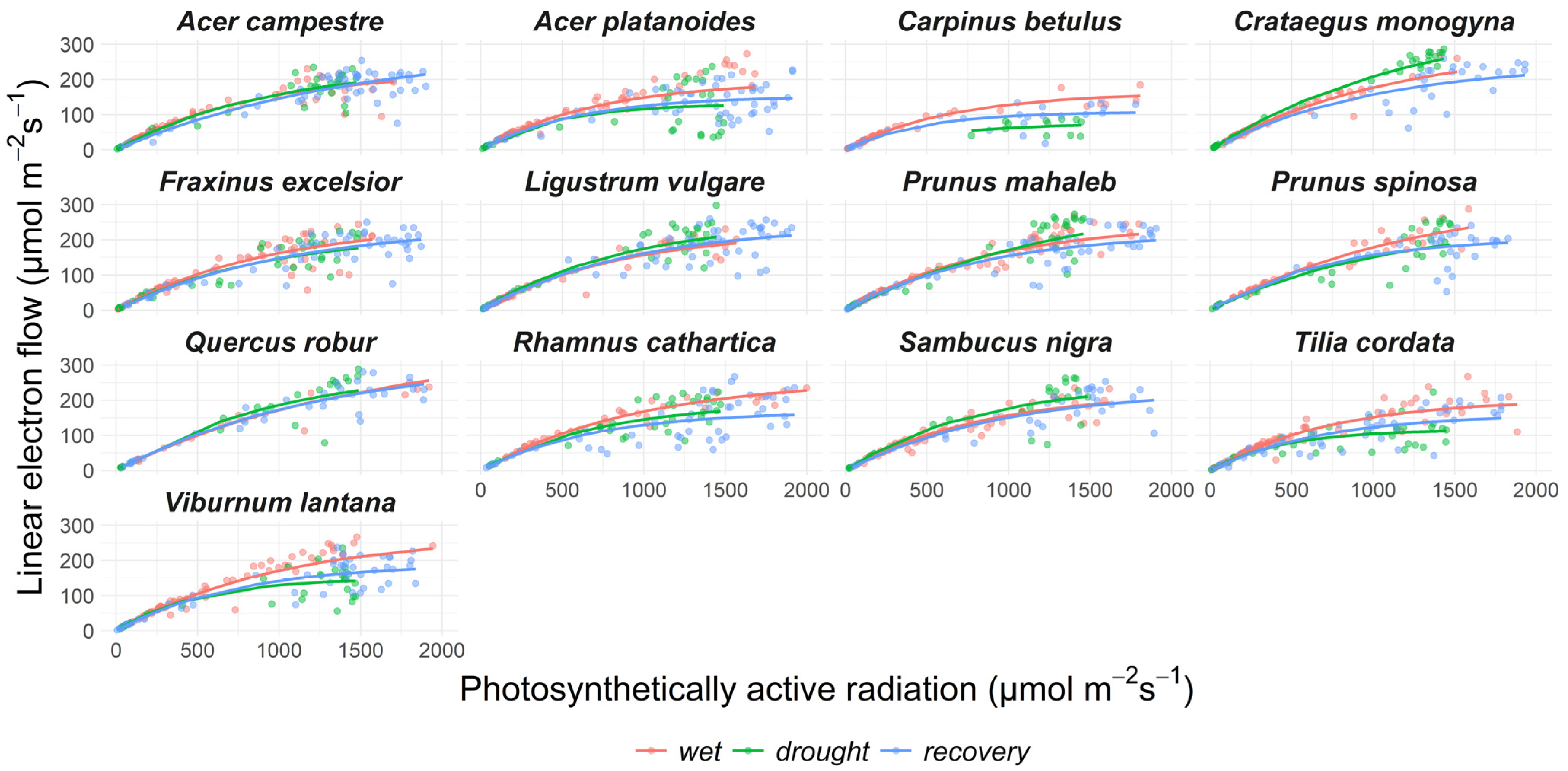 Forests 14 01521 g004