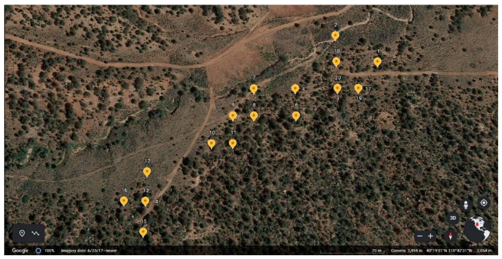 Forests 14 01862 g001