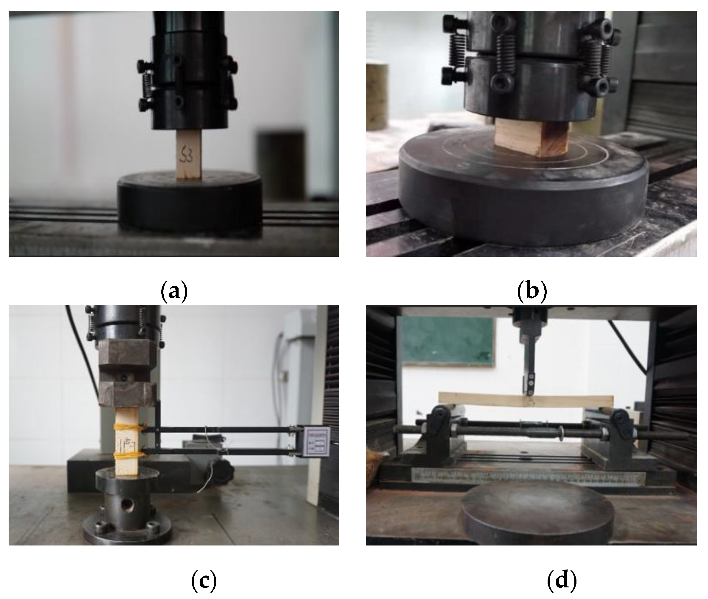 Forests 14 02424 g002