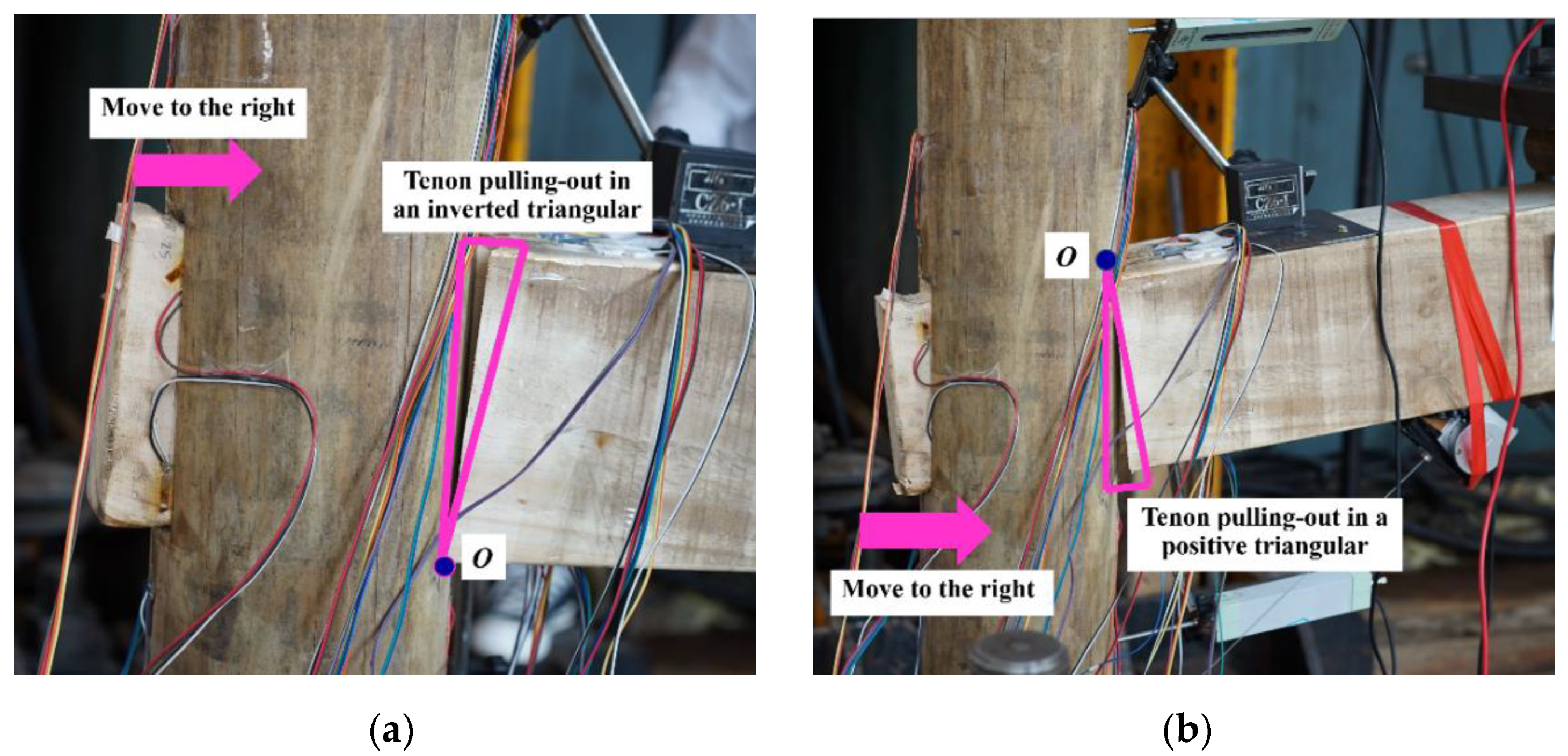 Forests 14 02424 g007