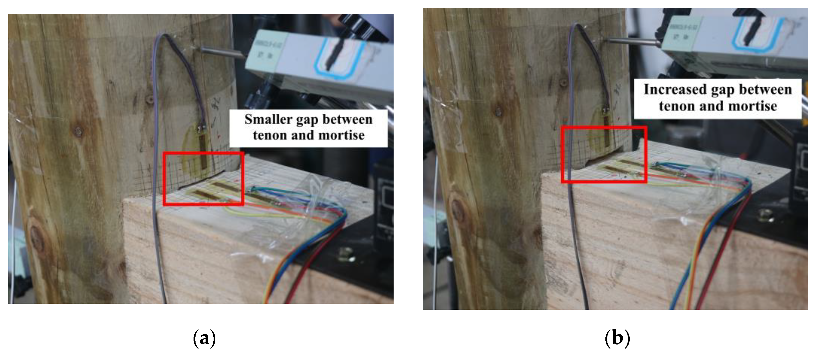 Forests 14 02424 g008