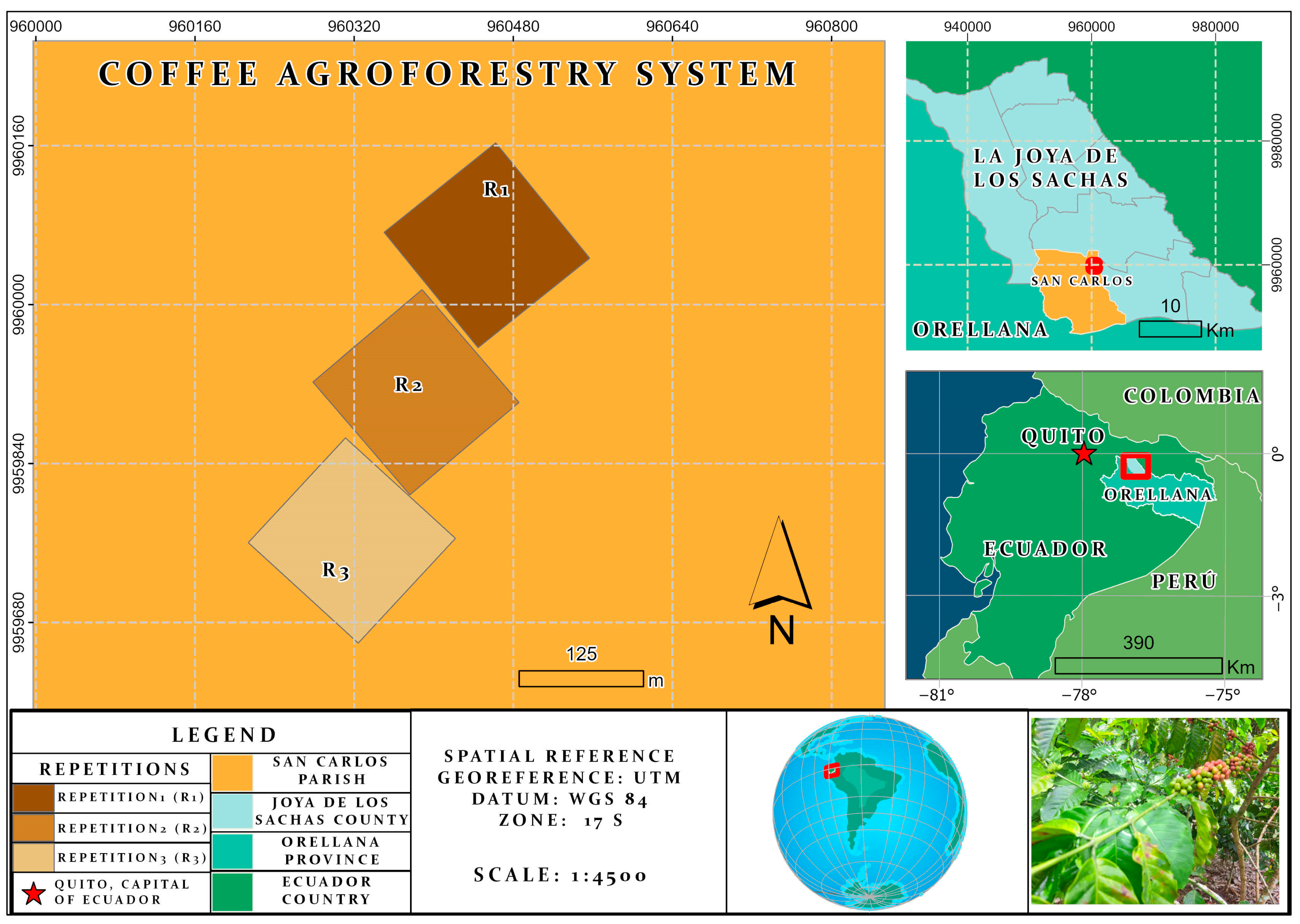 Forests 15 00807 g001