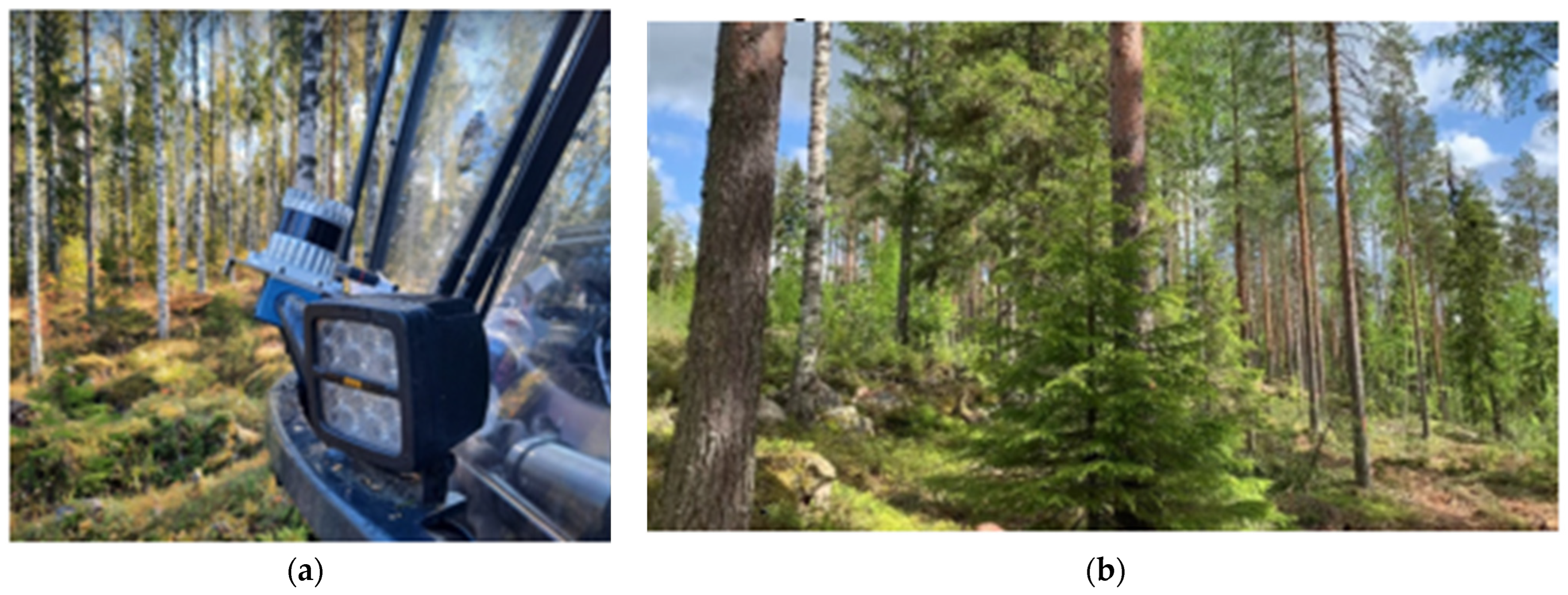 Forests 15 00818 g003