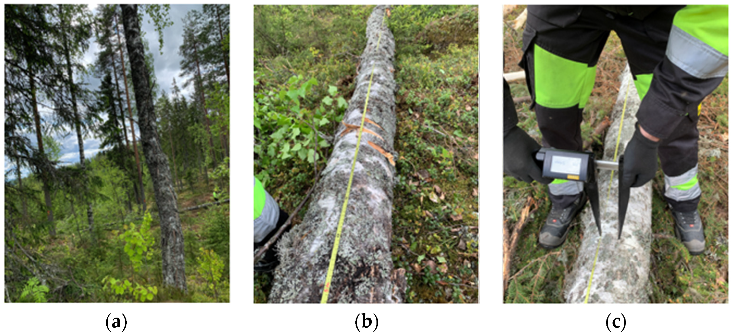 Forests 15 00818 g005