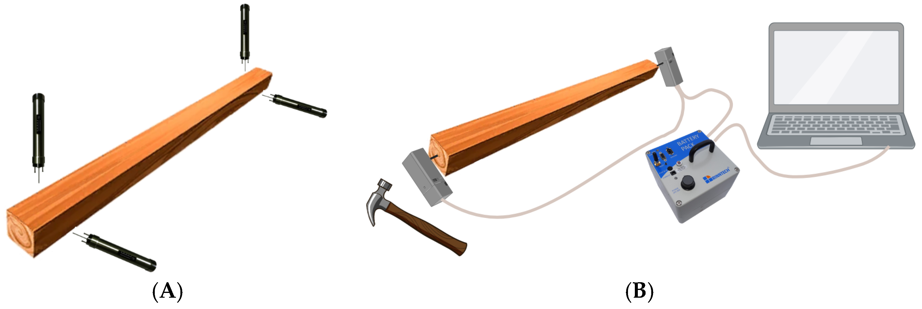 Forests 15 00845 g003