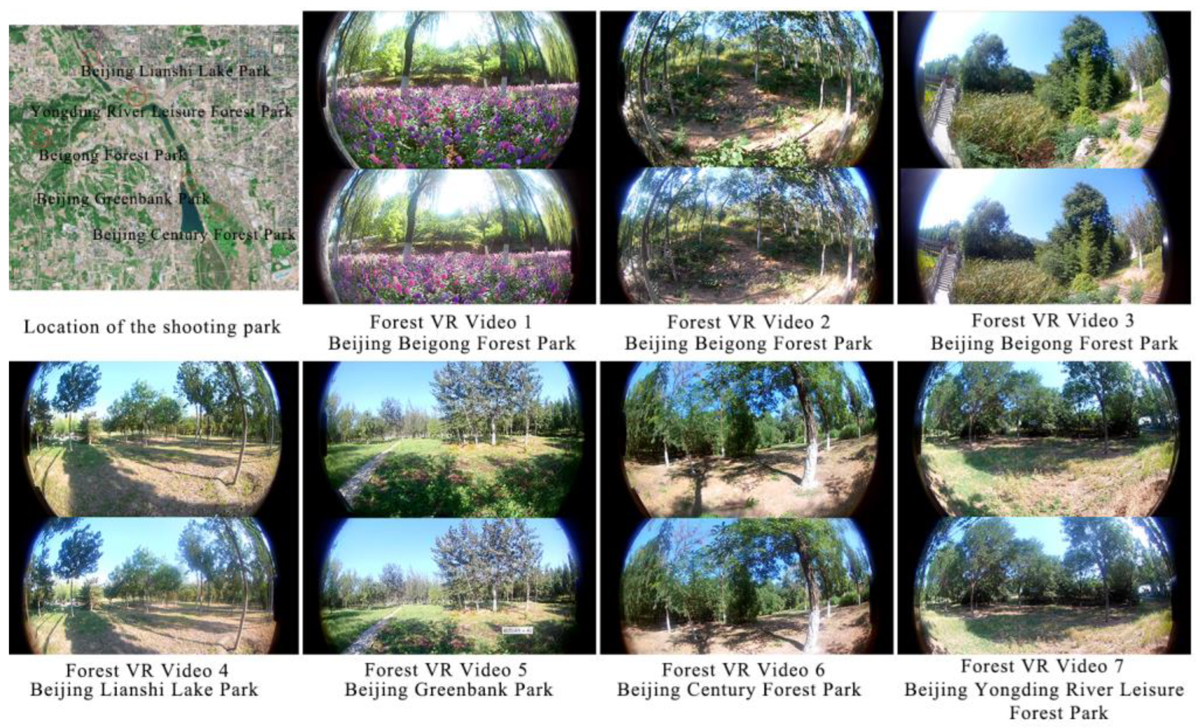 Forests 15 00853 g003