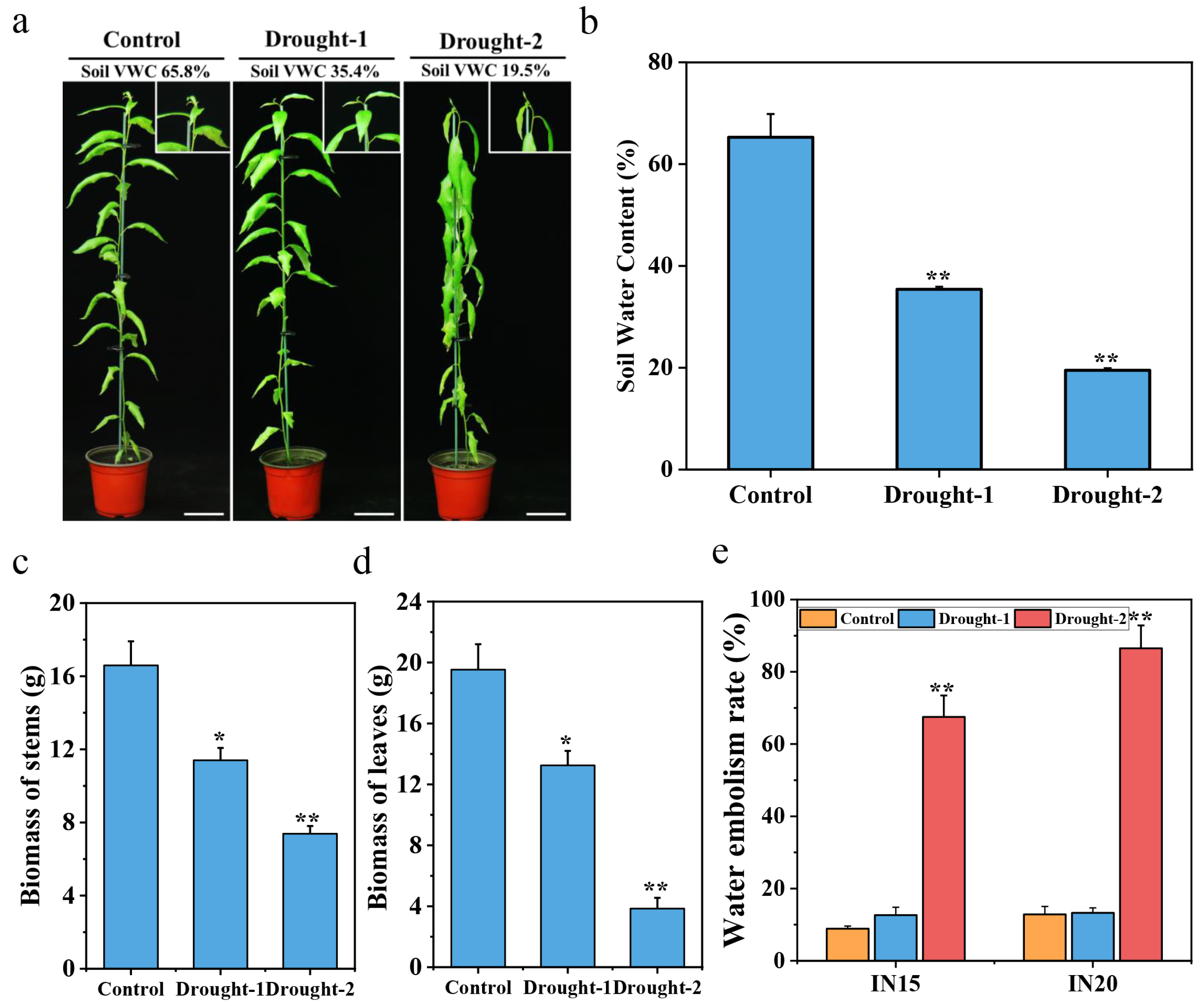 Forests 15 00873 g001