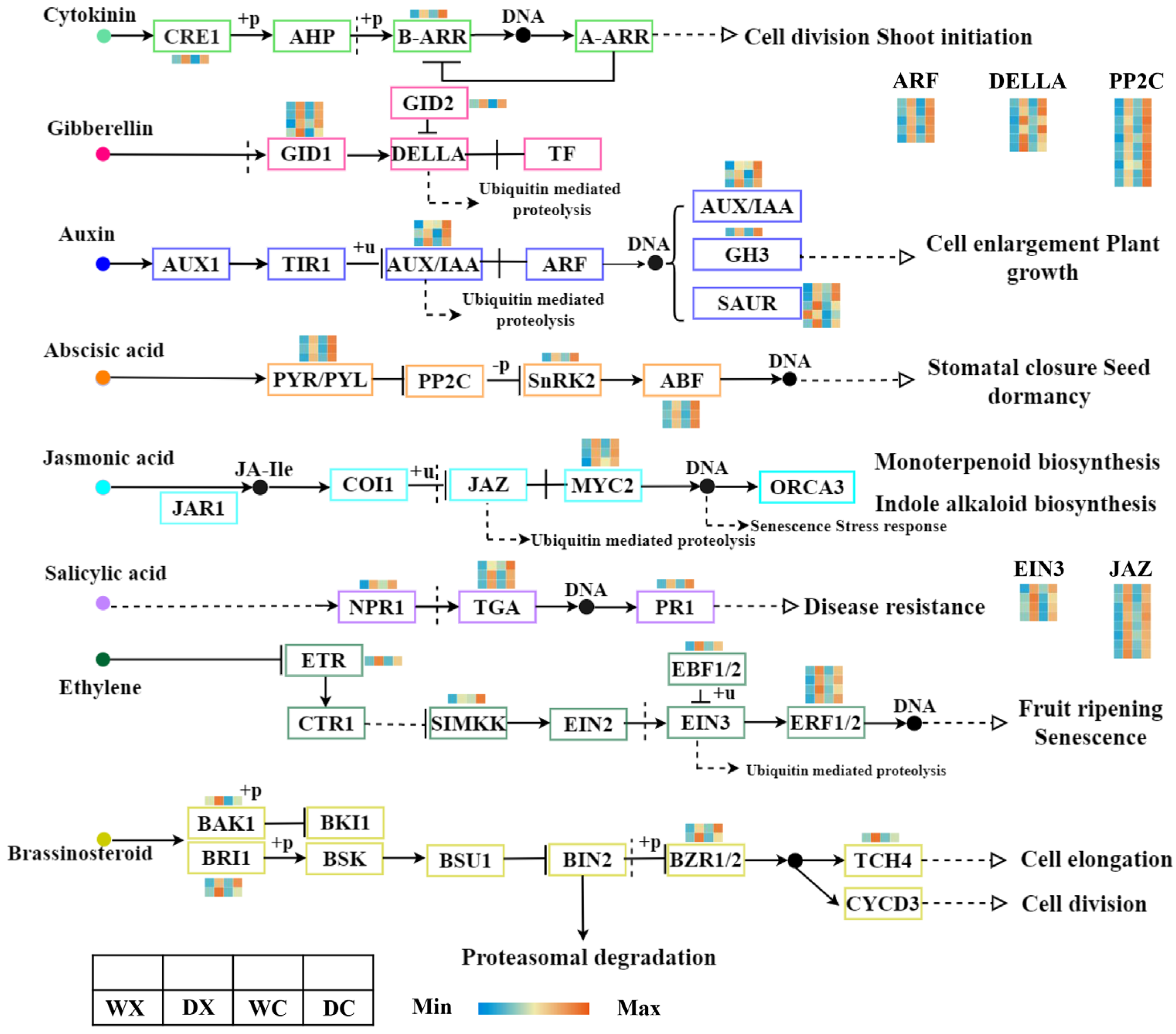 Forests 15 00873 g004