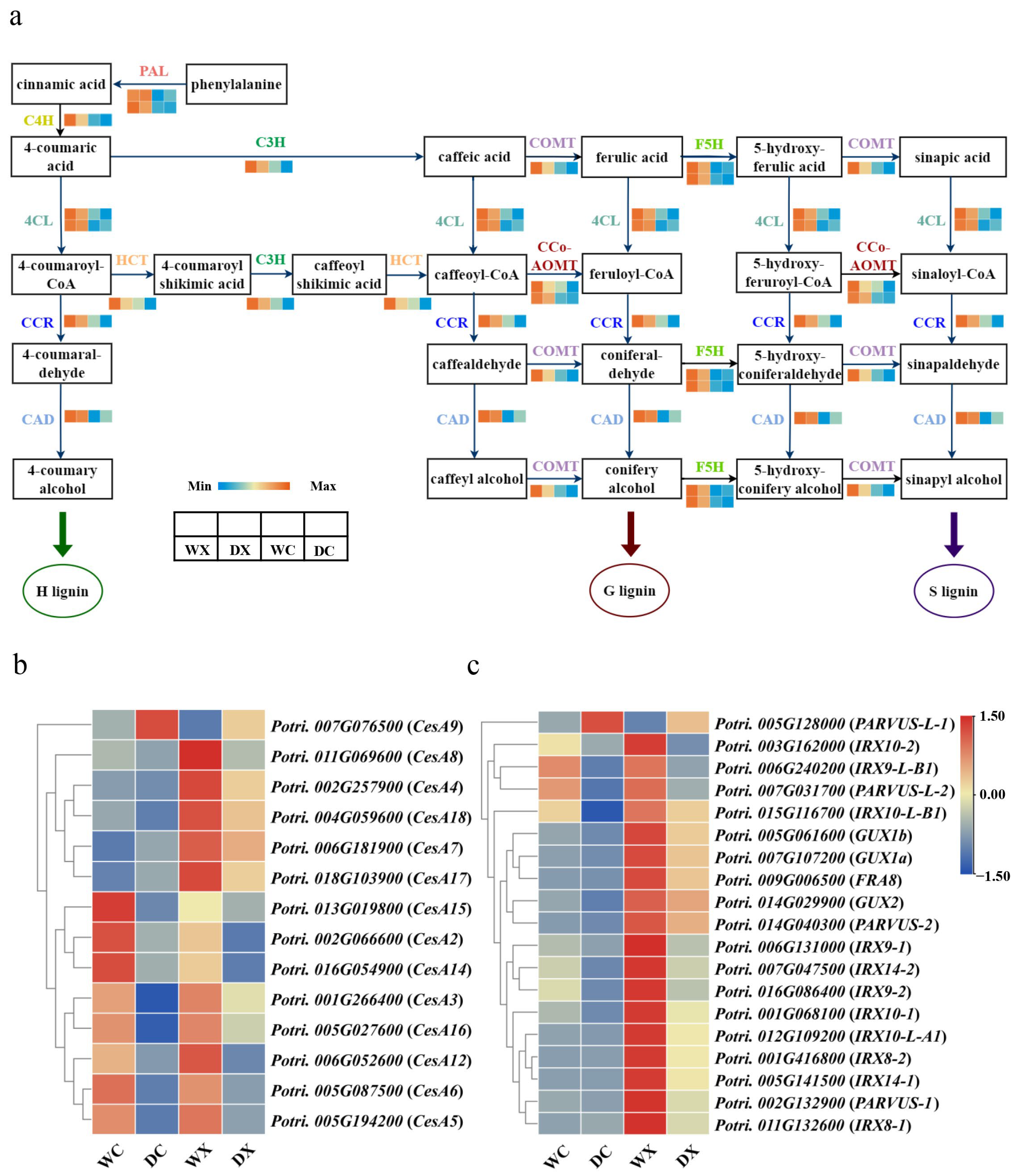 Forests 15 00873 g006