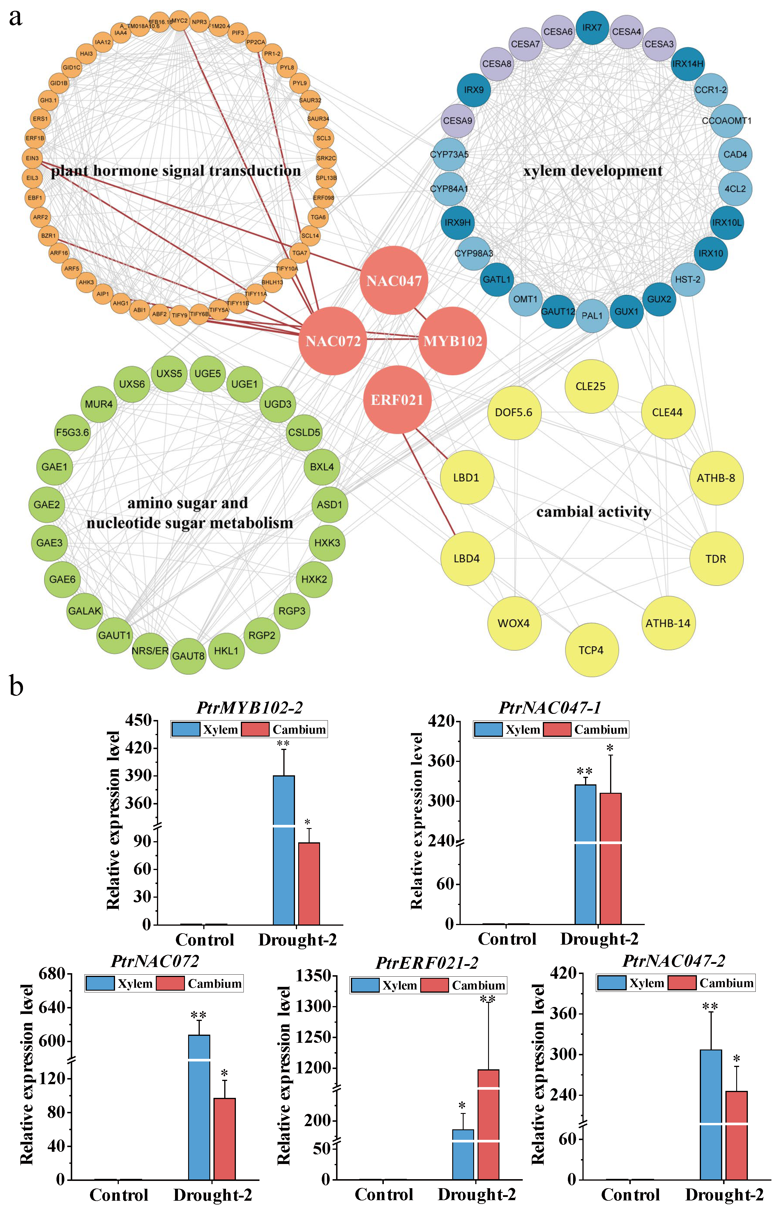 Forests 15 00873 g008