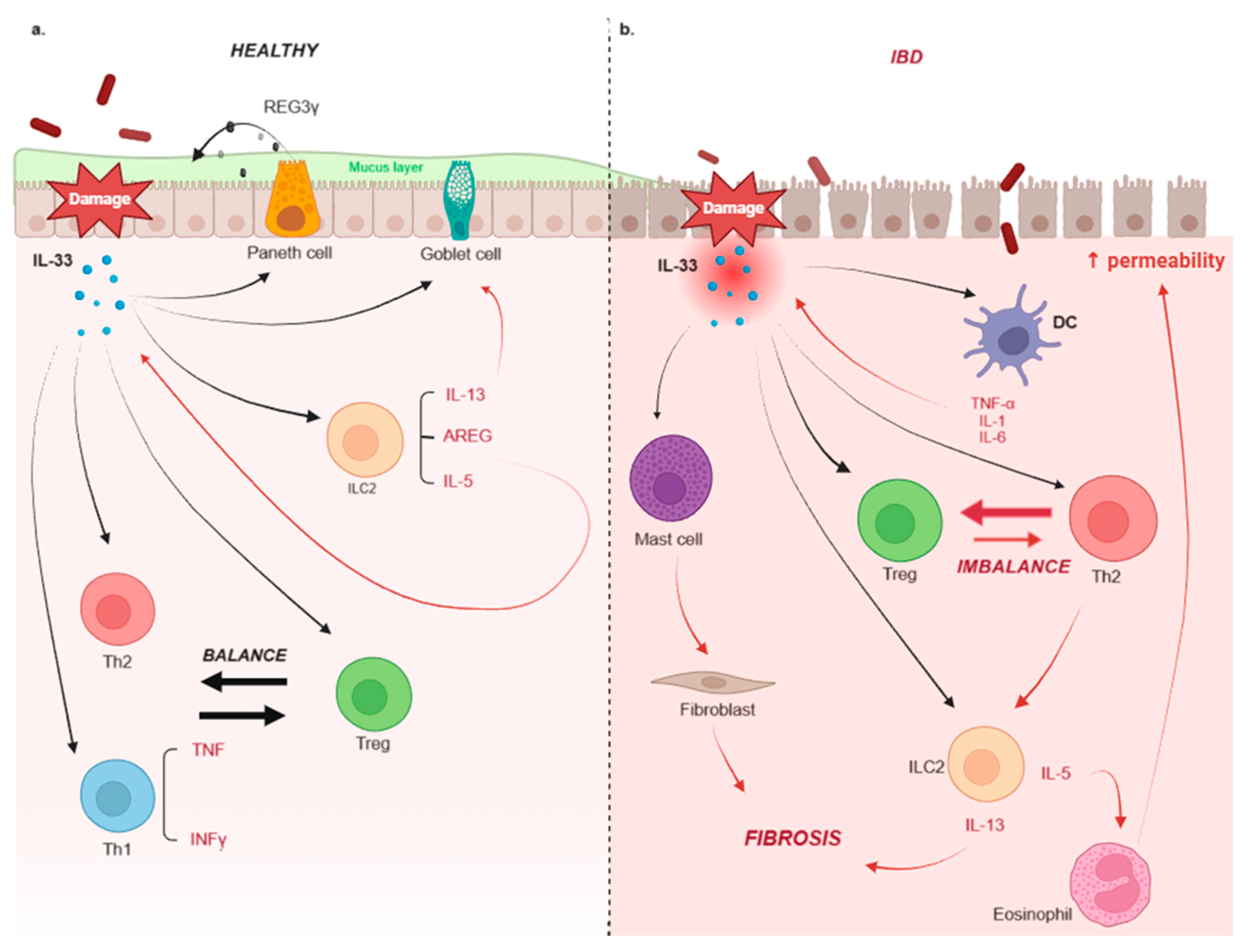 Gastrointestdisord 06 00030 g003