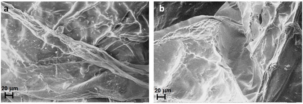 Gels 01 00024 g010 1024