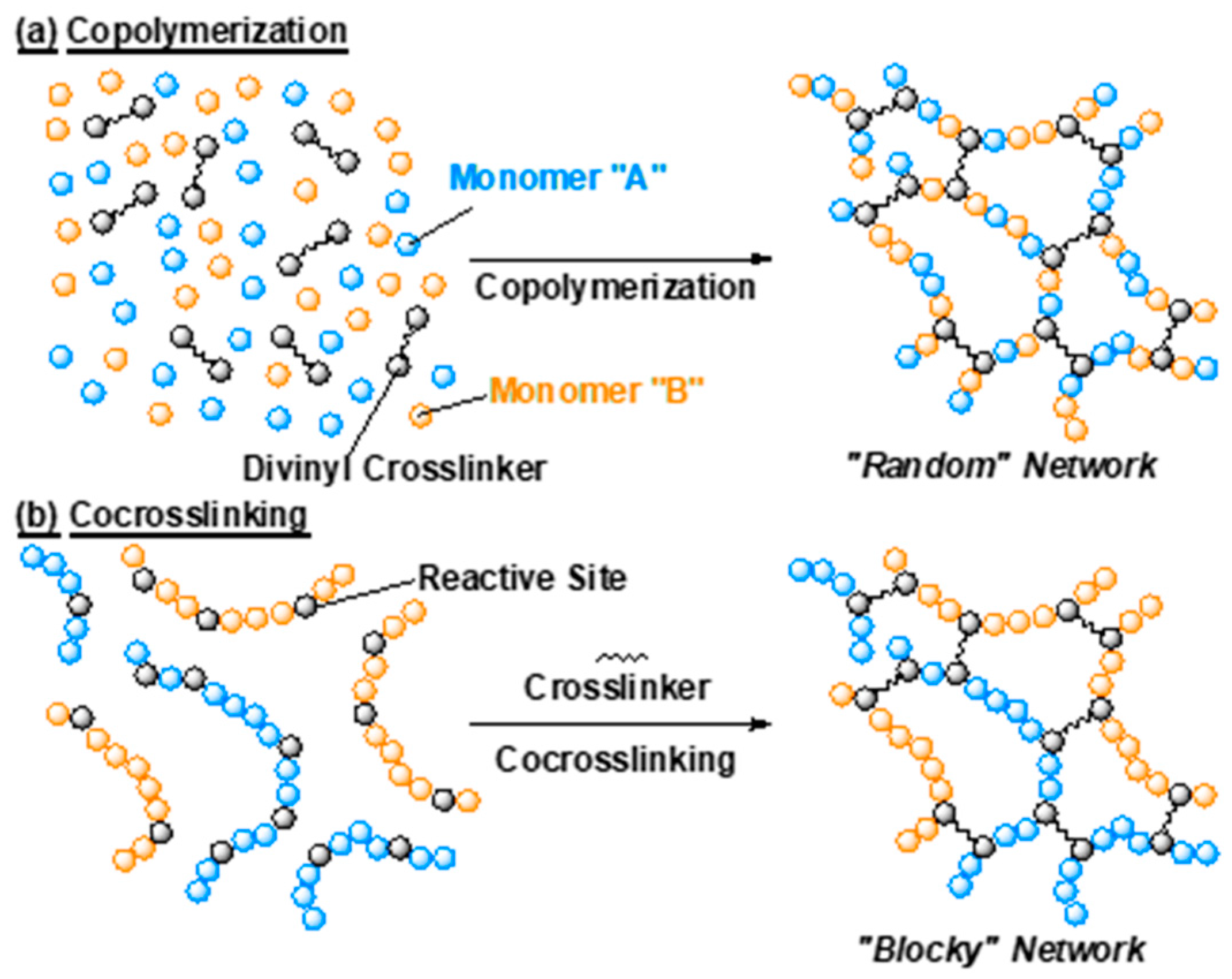 Gels Free FullText Effect of Monomer Sequence along Network Chains on Thermoresponsive