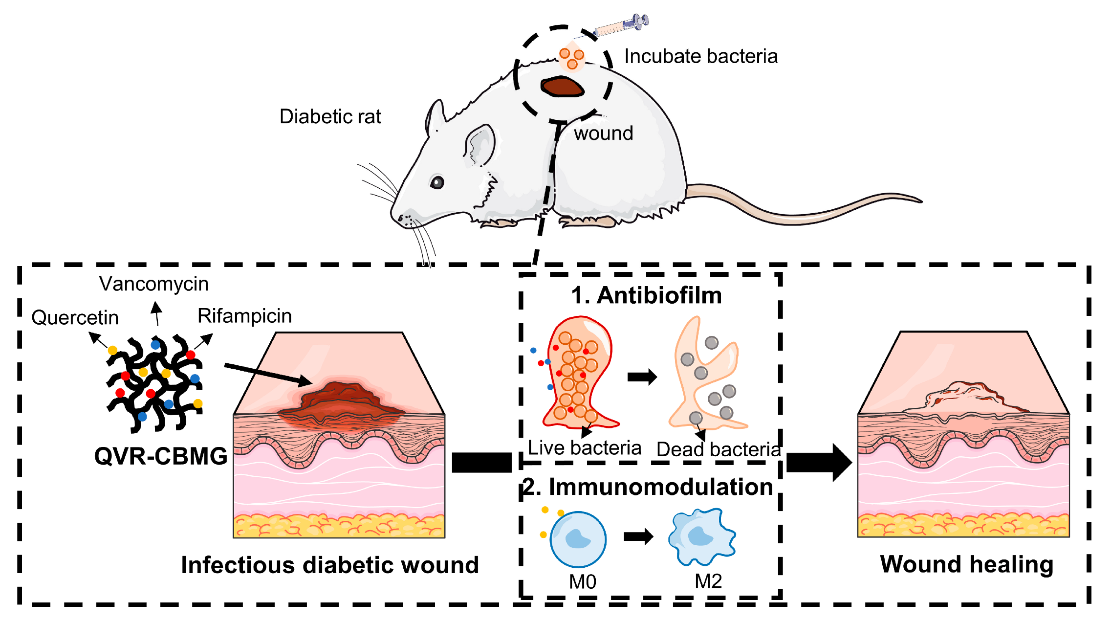 Gels 09 00761 sch001