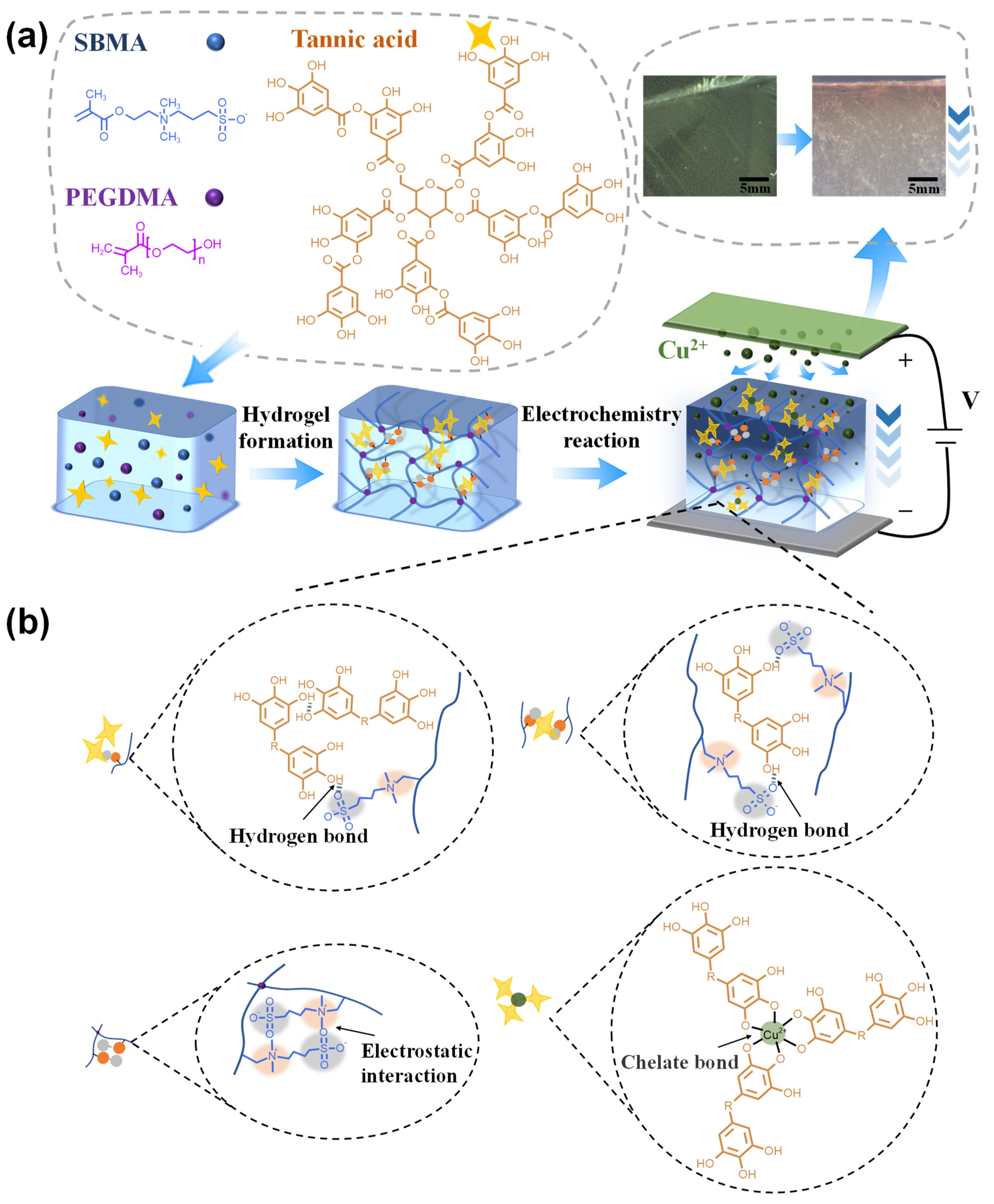 Gels 10 00006 sch001