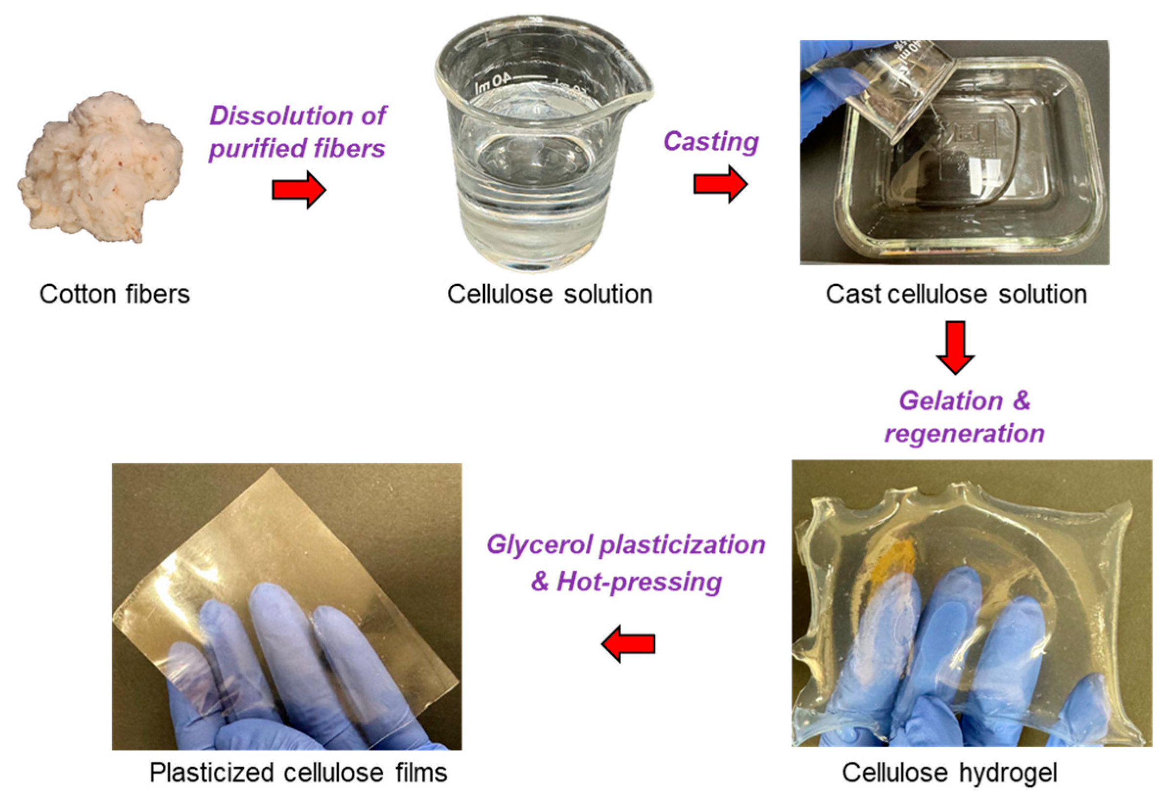 Gels 10 00218 sch001