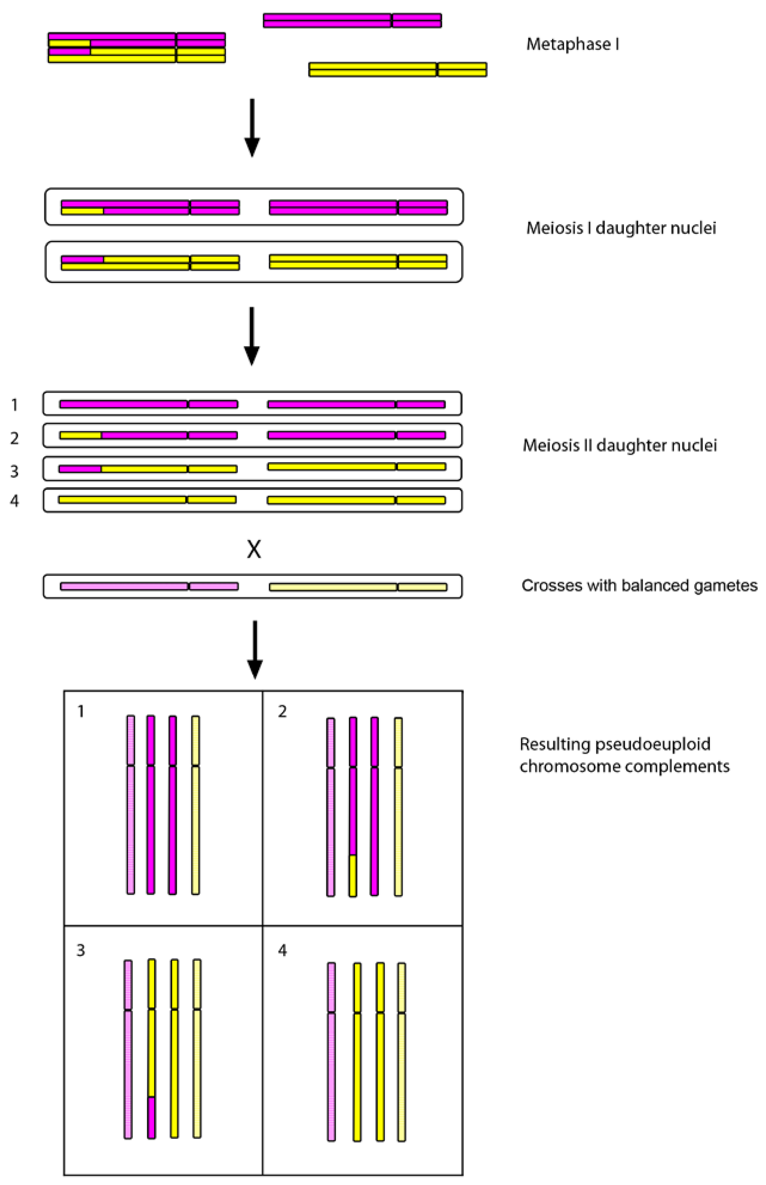 Genes 01 00166 g003