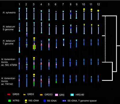 shop Statistical process