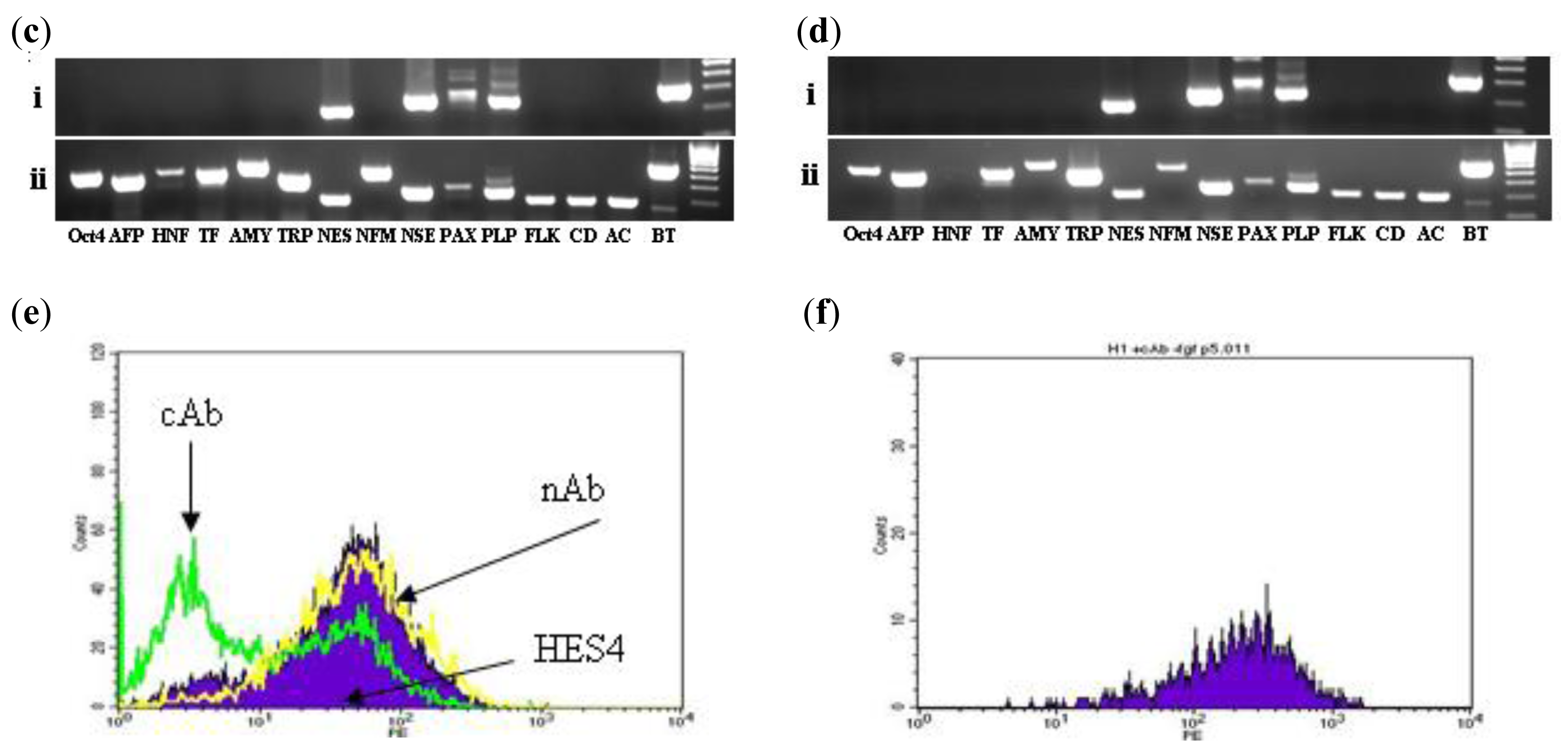 Genes 02 00229f6b 1024