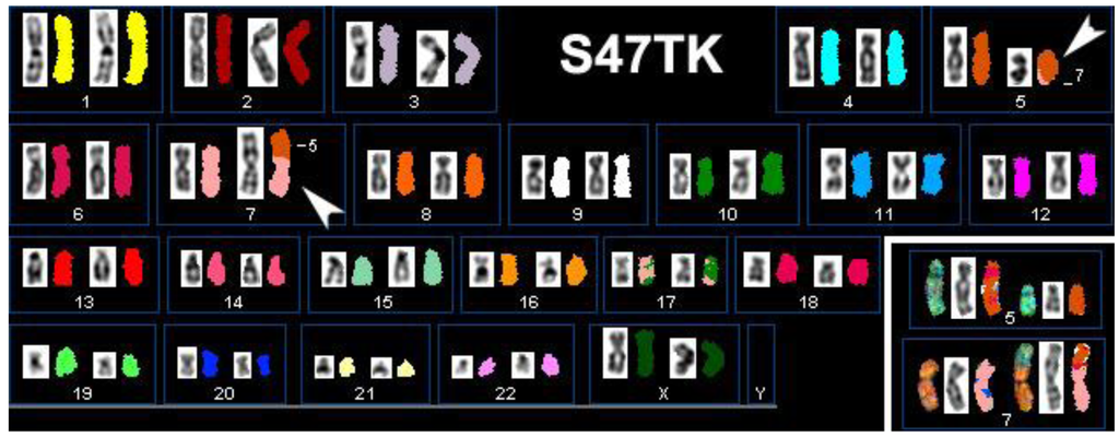 Genes 02 00397f2 1024