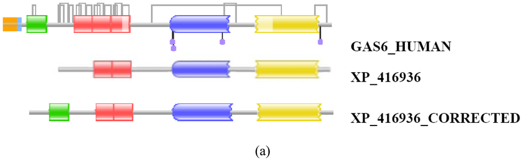 Genes 02 00449f10a 1024