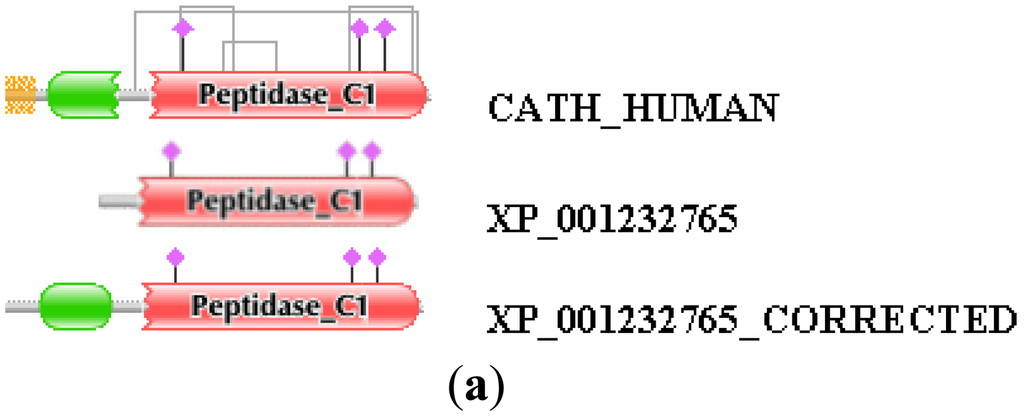 Genes 02 00449f2a 1024