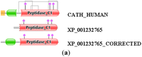 Genes 02 00449f2a 200