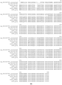 Genes 02 00449f2b 200