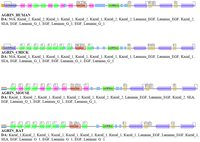 Genes 02 00449f3 200