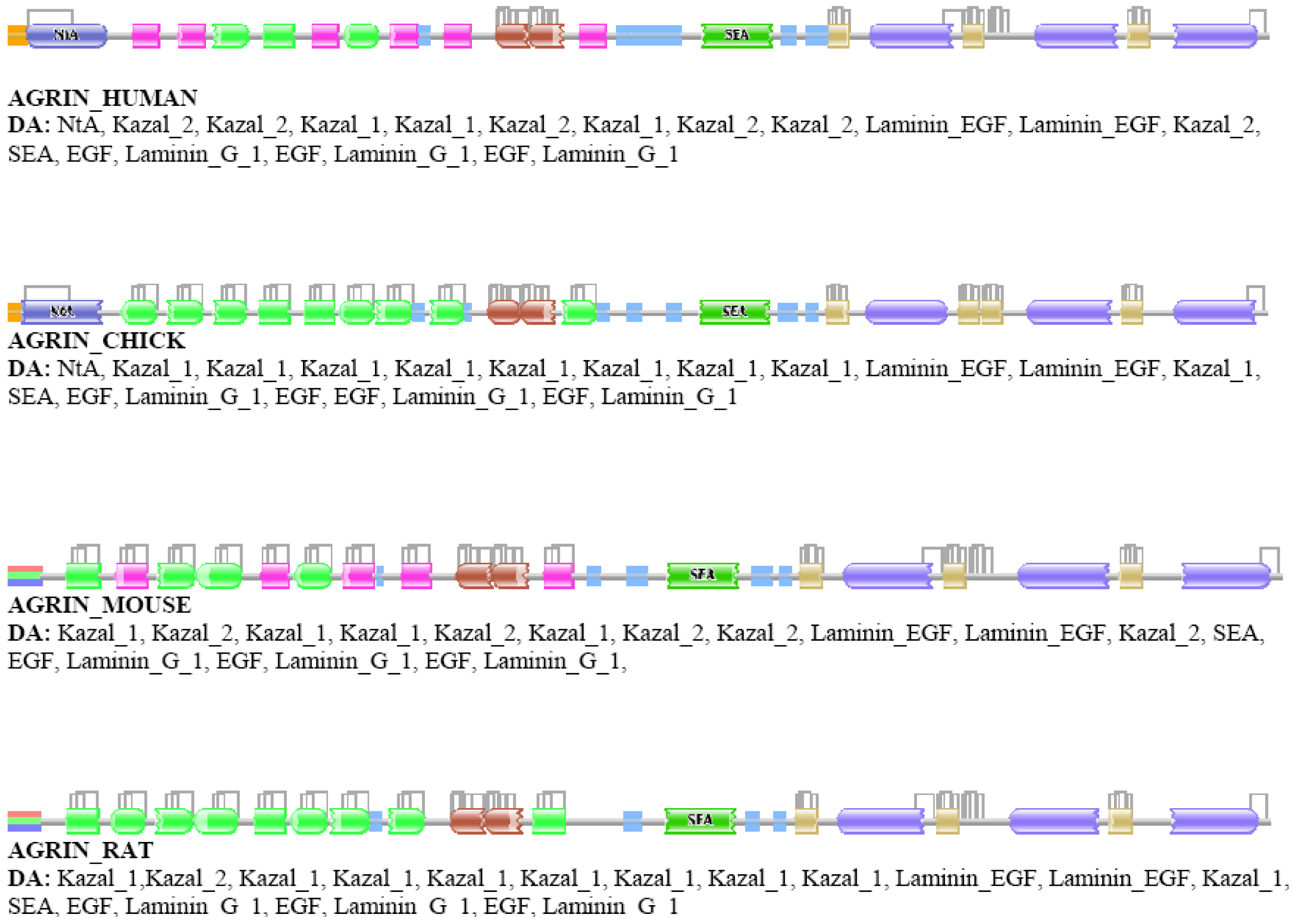 Genes 02 00449f3