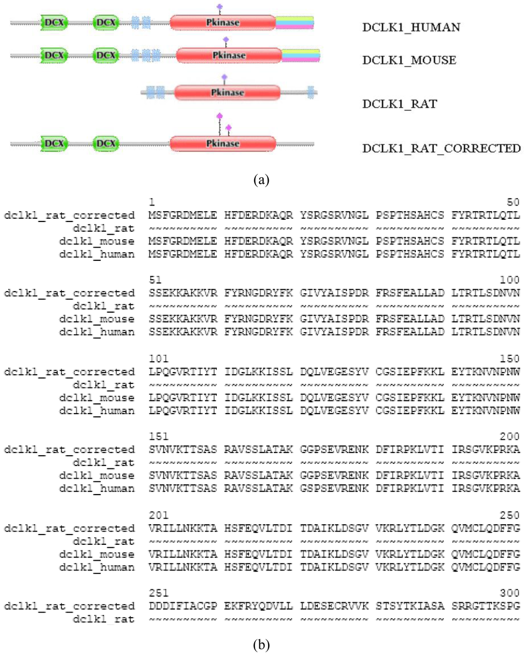 Genes 02 00449f4 1024