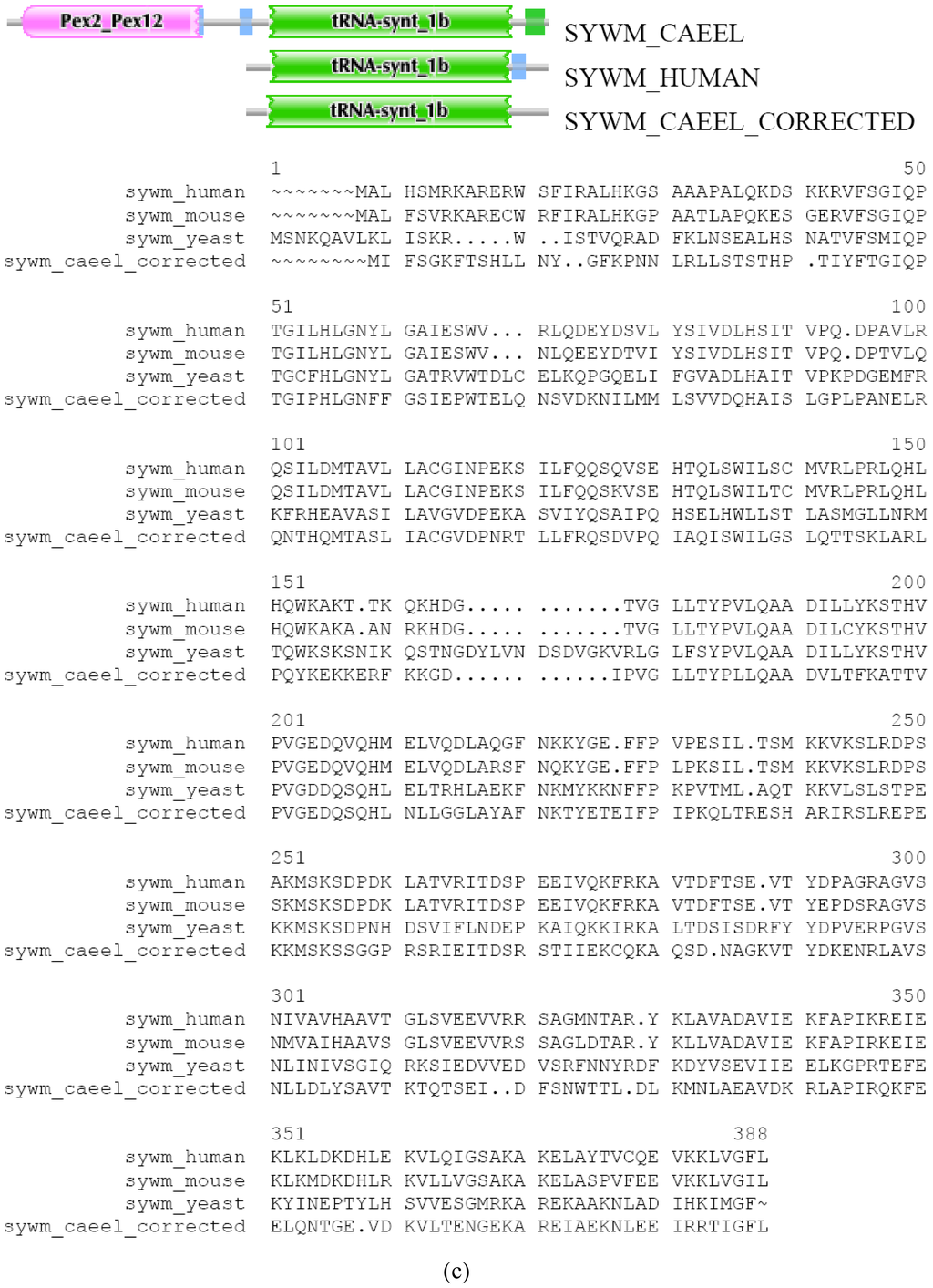 Genes 02 00449f5c 1024