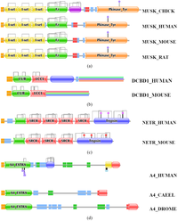 Genes 02 00449f6 200