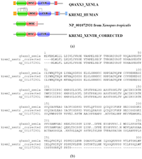 Genes 02 00449f7a 200