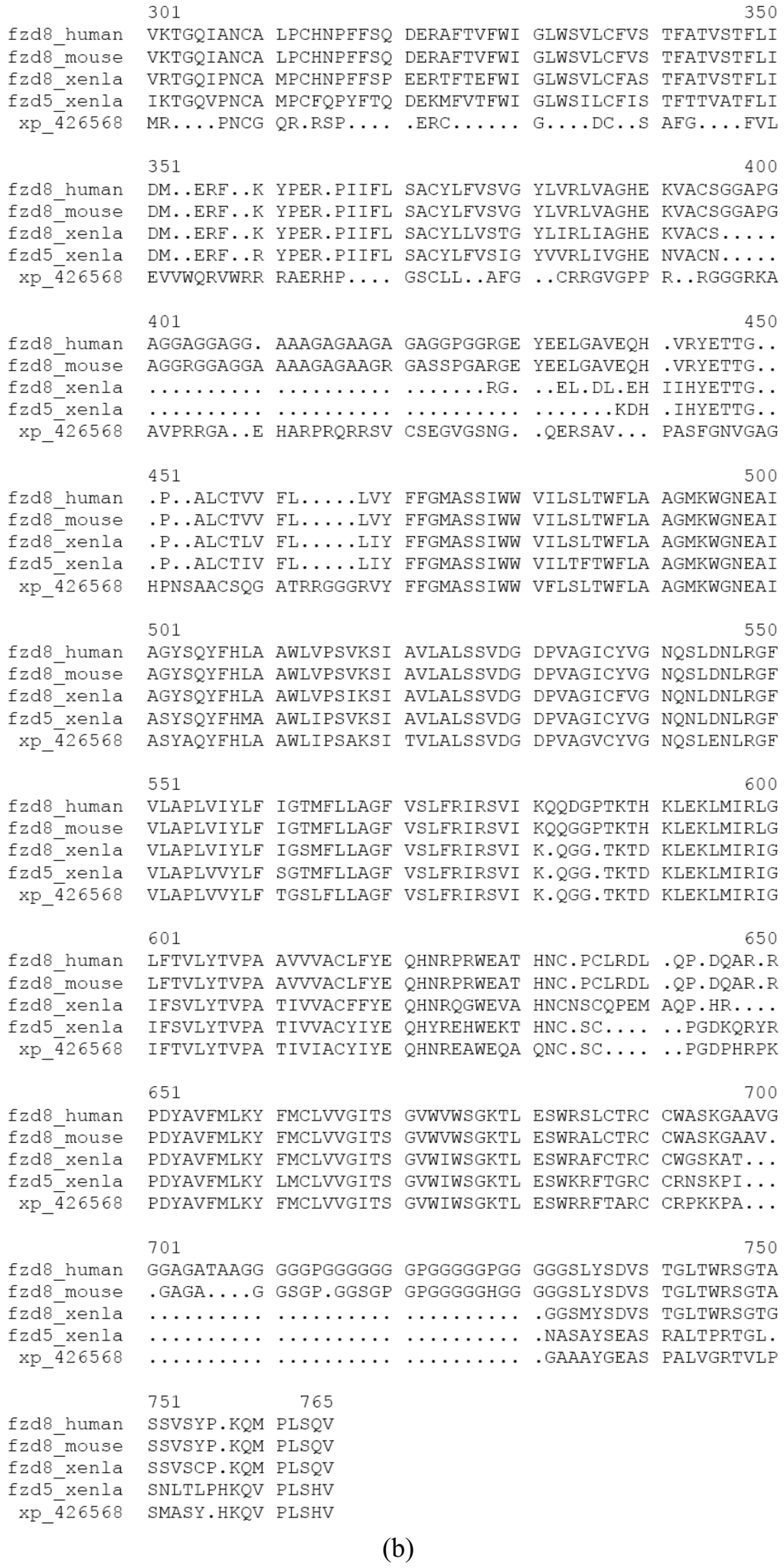 Genes 02 00449f7b 1024