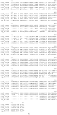 Genes 02 00449f7b 200