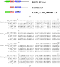 Genes 02 00449f8a 200