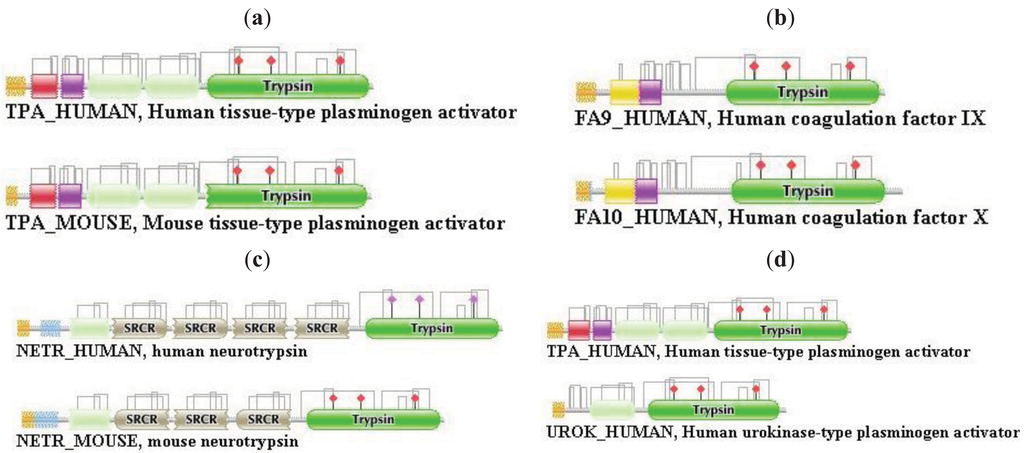 Genes 02 00516f1 1024