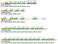 Genes 02 00516f15 200