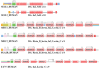 Genes 02 00516f19 200
