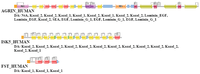 Genes 02 00516f21 200